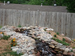 Our waterfall of our goldfish pond