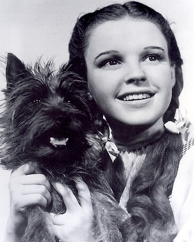 Dorothy and Toto in "The Wizard of Oz"